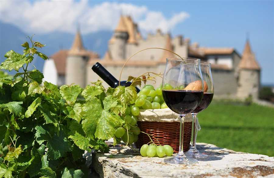 Искусство виноделия: традиции и современные методы производства