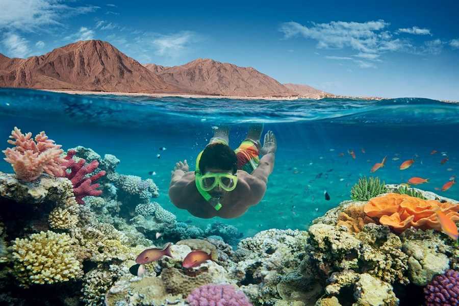 Рифы Красного моря: Неповторимое подводное богатство