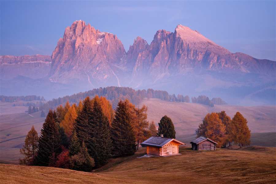 Экологическая значимость альпийских регионов
