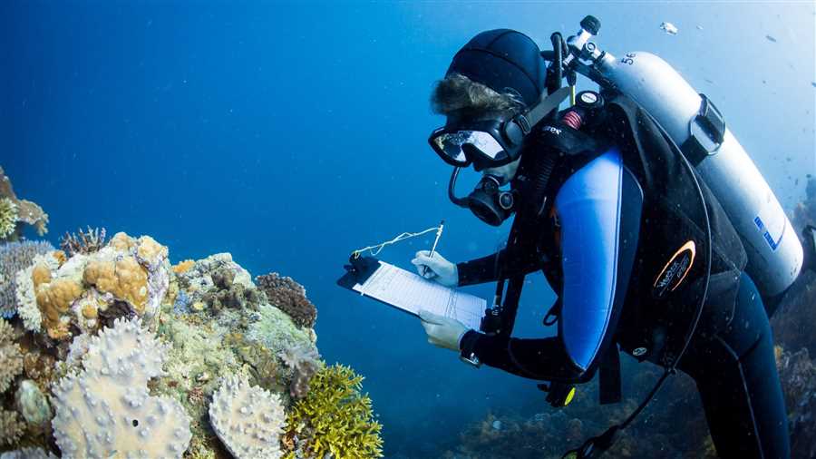 Раскройте тайны глубины: погружение с аквалангом на самые интересные рифы.