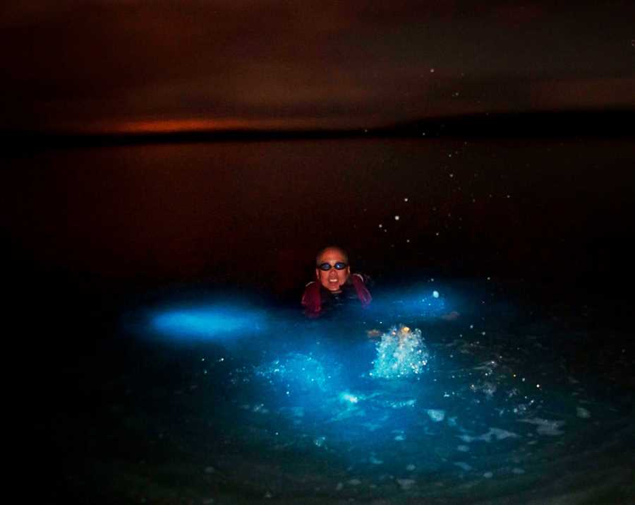 Ночной дайвинг с планктоном на Мальдивах: потрясающее зрелище под скатертью светящегося океана!