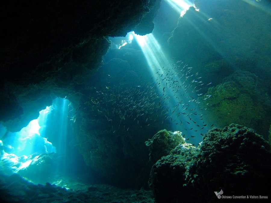 Загадочные гроты под водами Галиапагоса: исследование тайн морского мира